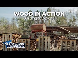 Forests of the Great Lakes Region - Conservation to Recreation