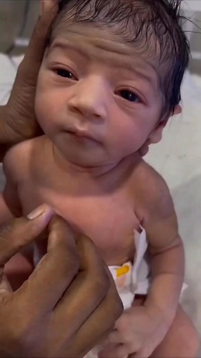 Real Fools Team on Reels