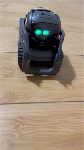 Rise ’n shine! Set an alarm and Vector bounces awake, greets you, and dishes out the latest headlines like an excited little reporter | Digital Dream Labs