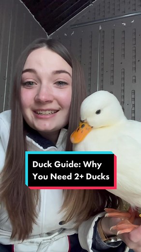 The Quack House on TikTok