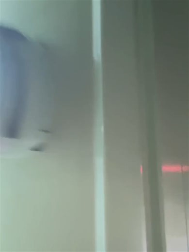 친구랑 같이 쿠팡 알바 후기 #데이트코스