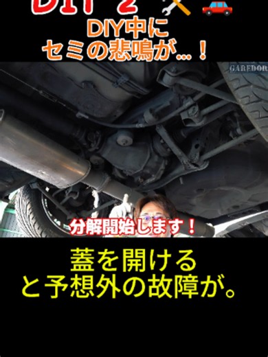 車のデフをDIY分解したらギアが固着｜原因と対処法
