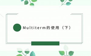 Multiterm的使用（下）