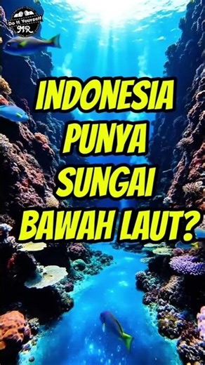 Ada Sungai di Bawah Laut Indonesia! 😱