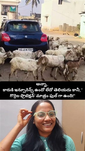 Car ki Sheep-Pradakshinalu! What is happening? 🤣 #viralvideo #telugushorts #comedy #eyecatchy
