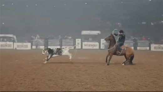 Travis Graves on Instagram: "Finished 3rd tonight with a 4.3 in round one of the @thehondorodeo 💪🏻 @billfickford | @signatureequinehospital | @purinaperformancehorse | @arenawerks89 | @coatssaddlery | XL Outfitters | @cinchjeans | @besteverpads | @resistol1927 | @priefert | @officialharttrailer | @stephenvilletrailers | @lonestarropes | @iconoclastboots"