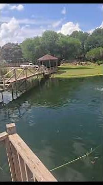 Vevor Pond Aerstion Complete Kits Pump 2 diffusers Weighted air hose and timer for lakes and ponds