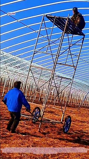 Homemade mobile scaffolding for greenhouses