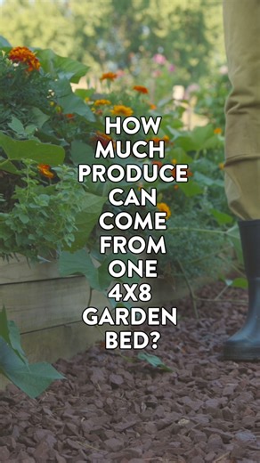 Small space, big impact! Just one 4x8 (48" x 96" x 16.5") raised bed can grow so much! Whether you're planting veggies or flowers, here’s what you can fit in just one bed: 🥕 In a 4x8 veggie bed, you can grow: 1 summer squash 2 pepper plants 20 bush bean plants 3 cucumber plants 2 cherry tomato plants 2 eggplant plants 4 herb plants 🌼 In a 4x8 flower bed, you can grow: 6 Lisianthus plants 6 Alyssum plants 6 Zinnia plants 6 French Marigold plants 4 Dwarf Sunflower plants 3 Trailing Nasturtium pl