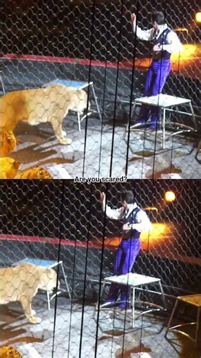 Attacked! He is not getting away!