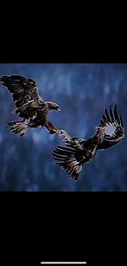 Real Christian Masculinity | Strength with Purpose 💪✝️