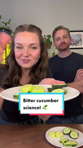 Which Cucumber Is the Most Bitter? Cucumber Taste Test Experiment