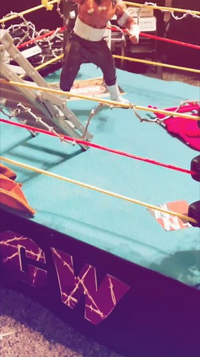 #prowrestling #wwe #figures #custom #sabu #ecw #toys #customactionfigures #customfigures #mattel #rsc #wweelite | Eric Dylan