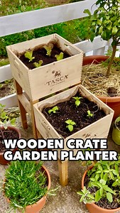 98K views · 297 reactions | DIY Garden Planter by reusing a Wooden...