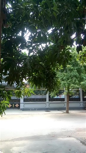 Three Seasons Myanmar (PKU) သည် TikTok ပေါ်တွင် ရှိသည်