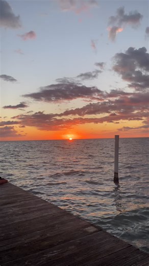 The World Feels Heavy a sopping wet sweater, permanently soiled, falling towards the floor, slave to gravity’s pull. But there are still moments, however fleeting, that lighten the load for a while: a soft hum escaping the lips at the first taste of a perfect brew, a prolonged sigh as the clouds burst, taking the heat with them, and a quiet pitter patter on the zinc roof— drops of rain or feathered friend? Shared silence from comfort, not conflict, spirited talks about literature, film the absen