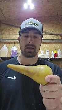 6 key tools for fleshing deer hides #deer #hunting #whitetail #taxidermy