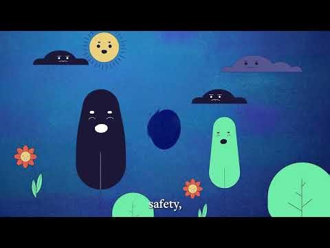 Hurricane and Disaster Preparedness Resources