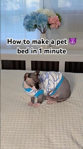 How to make a pet bed in 1 minute #pet #petcare #petlover