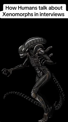 Xenomorph. #xenomorph #alien #aliens #horror #horrormovie #fyp #fypシ #viralvideo | Jay Pierlis
