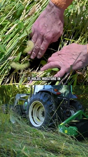 Crimping is best for preserving soil moisture