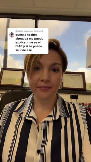 Navigating the ISAP System: Immigration, Lawyers, and Procedures Explained