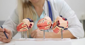 The doctor sits in a white office at a table in front of a model of a heart. Woman doctor cardiologist is preparing to consult a patient with heart disease. Cardiology concept.