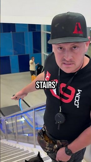 Teach Your Dog to Walk Stairs Safely