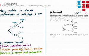 Tree Diagrams (Probability) (IB Math AI - SL & HL)