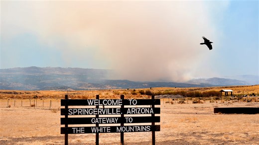 Greer Fire in eastern Arizona burns near sites of Wallow and Rodeo-Chediski fires