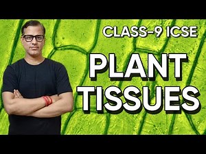 Tissues Plant and And Animal Tissues ICSE Class 9 | Tissues Class 9 ICSE | ‪@sirtarunrupani‬
