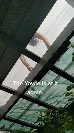 Encountering the Mysterious Yowie: Kangaroo Island Adventure