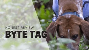 The Byte Tag - Smart ID Tag For Dogs - An Honest Review - Rebarkable