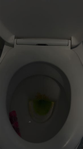 Effective Toilet Blockage Removal Techniques