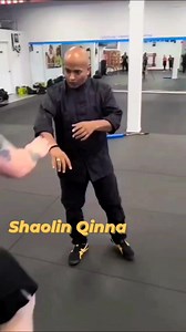 Shaolin Qin Na" in a method of joint Locks in shaolin kungfu. It is extremely painful and dangerous and often regarded as predecessor of Japanese Jiu-Jitsu and Aikido. Qin means to grab and Na means to control your opponent In shaolin you have 72 Qinna , 32 Qinna and 36 Qinna Shifu Kanishka specialization is 72 Qinna and 36 Qinna . #shaolin #kungfu #focus #martialarts #training #qinna #aikido #jiujitsu #bjj #taichi #shifukanishkacombatives | Shifu Kanishka Combatives
