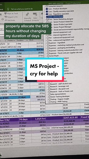 Struggling with MS Project? Get Expert Tips Here!