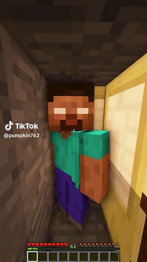 Minecraft chase #minecraft #minecraftmemes #chase