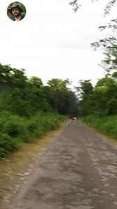 11K views · 226 reactions | Elephant chasing bike rider. | Wild life and Nature Photography | Facebook