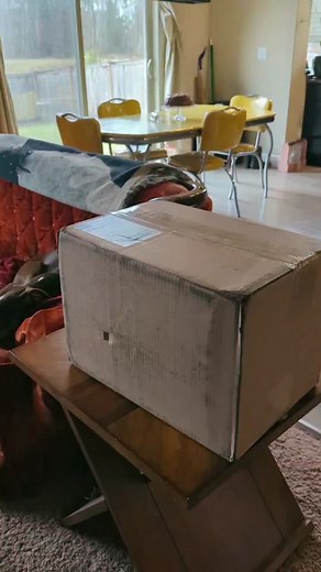 1973 Vintage Wedding Dress Restoration: Part 1