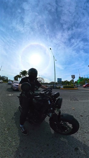 ⚫ #bobber