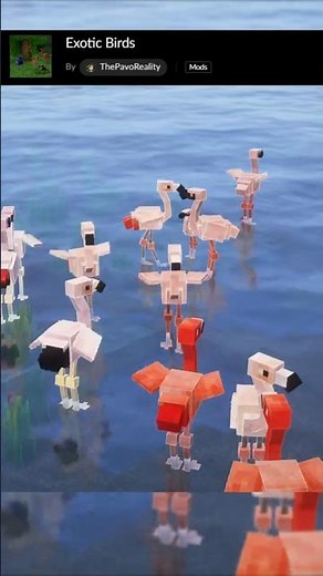 This is the BEST BIRDS mod for MINECRAFT! - Exotic Birds #minecraft