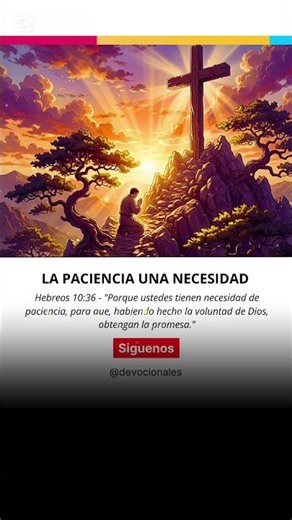 😪 La paciencia es necesaria, por qué?