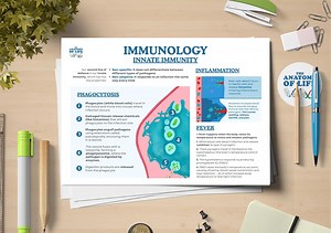 Immunology Poster | Innate Immunity | Biology Classroom (printable PDF) - Etsy
