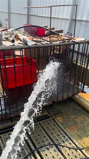 把你養兩年了，你還是一樣那麼白目讓你涼快一下