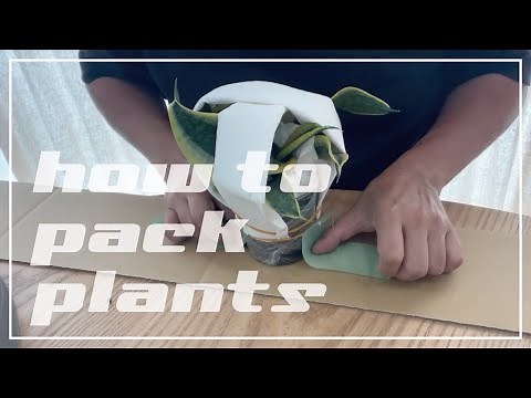 植物の梱包方法について解説