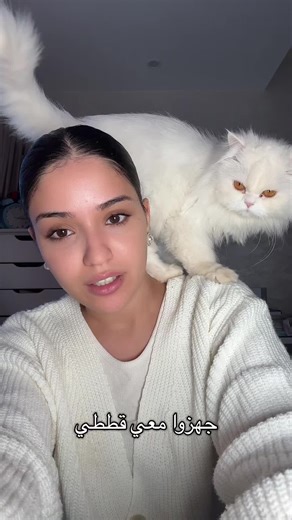 مكياج بينك: حضرتني للقطط