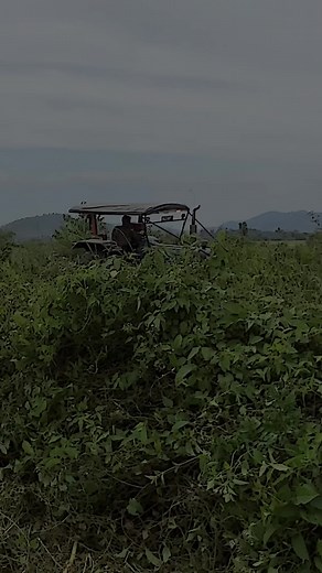 😇#drebamuda #6610ford💪 #fypシ゚ #fypviralシ