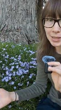 Struggling With a Bare Spot in Your Garden? Plant This