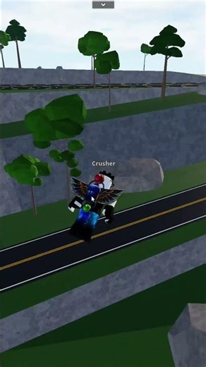 drunk driver hit idiot😡