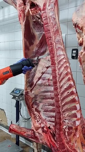 2.3K views · 9.4K reactions | Unsurprisingly, the loading is not yet done #Eidsina_the_king_of_loading #Eidsinal_tradition #Eidsinababa_the_working #EidsinaButcher #viralreels #fbreels #facebookreelsviral #viralvideochallenge #foryoupageシ #facebookviral #fightcoronavirus #fyp #videoviralシ | Meat Cutting Exports | Facebook